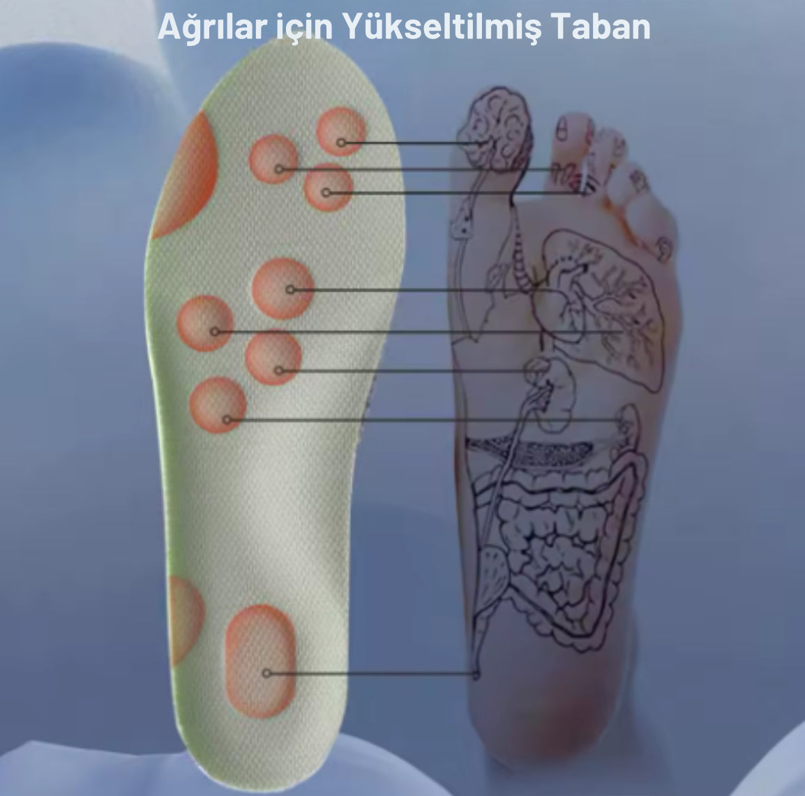 Valencifit Finor Ortopedik Kadın Ayakkabıları (VL-K007)